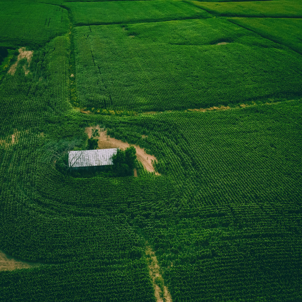 Agriculture